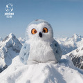【JOOKI 捉趣】精品娃娃玩偶 秘境奇羽系列-雪鴞 (約15cm) 贈品牌束口袋_3