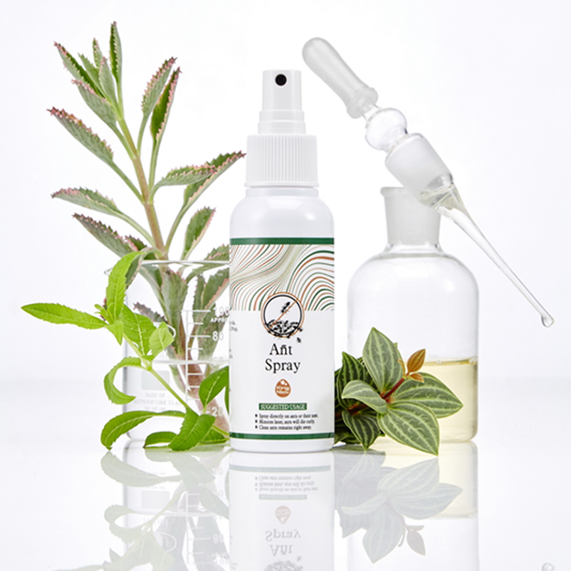 螞蟻噴霧 Ant Spray