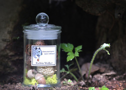 Secret purse花栗鼠的私房錢 - 小松花精油擴香罐