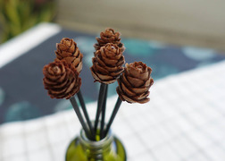 迷你松果擴香竹