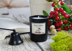 聖誕雪貂-香氛蠟燭65g (繽紛佳節)