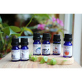 複方香氛精油 (水氧機、薰香用)