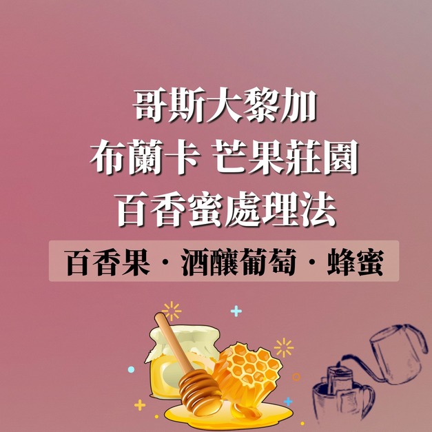 哥斯大黎加 布蘭卡 芒果莊園 百香蜜處理法 濾掛咖啡
