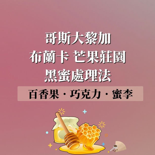 哥斯大黎加 布蘭卡 芒果莊園 黑蜜處理法 濾掛咖啡