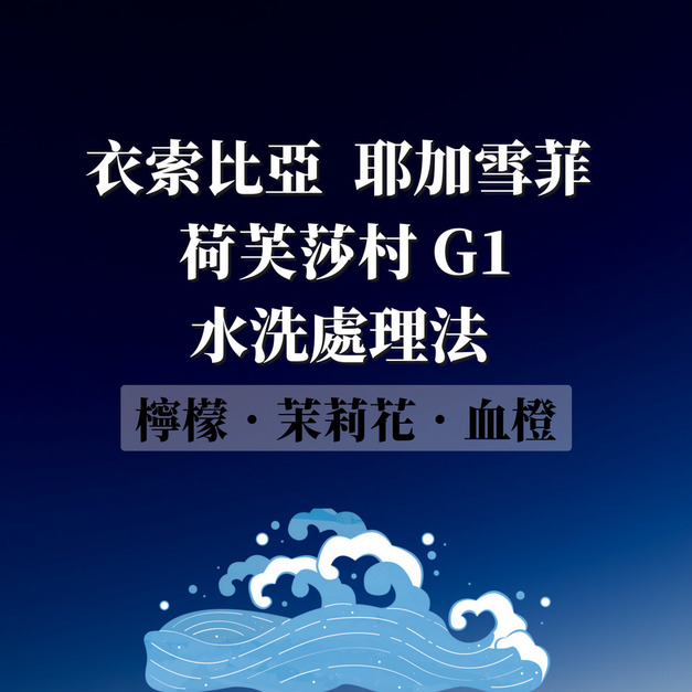 衣索比亞 耶加雪菲 荷芙莎村 Top G1 水洗處理法  濾掛咖啡