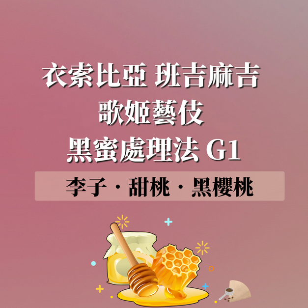 衣索比亞 班吉麻吉 歌姬藝伎 黑蜜 G1 濾掛咖啡