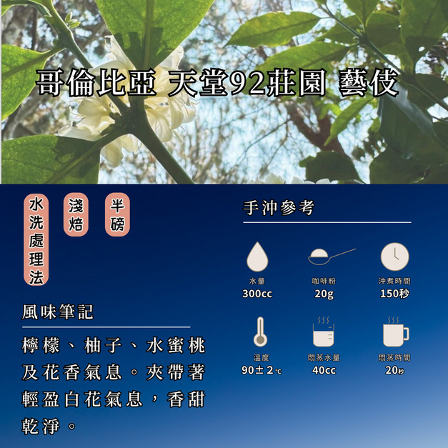 (限量) 哥倫比亞  天堂92莊園   藝伎 水洗處理法  濾掛咖啡  (烘豆師推薦)