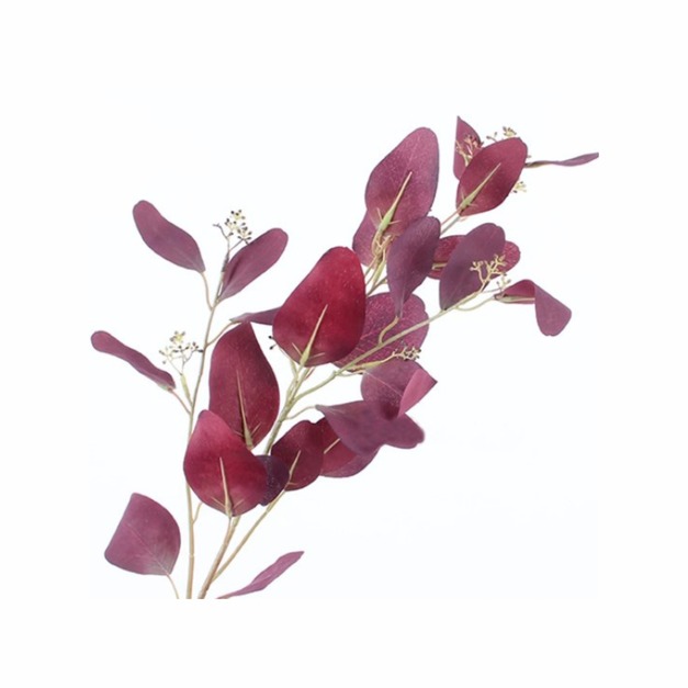 巴黎尤加利豆沙紫