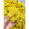 紅色雙月盒有機金絲皇菊禮盒-24包入_8