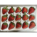 有機轉型期草莓15入*2盒/箱_1
