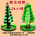 魔法聖誕樹 紙樹開花_2