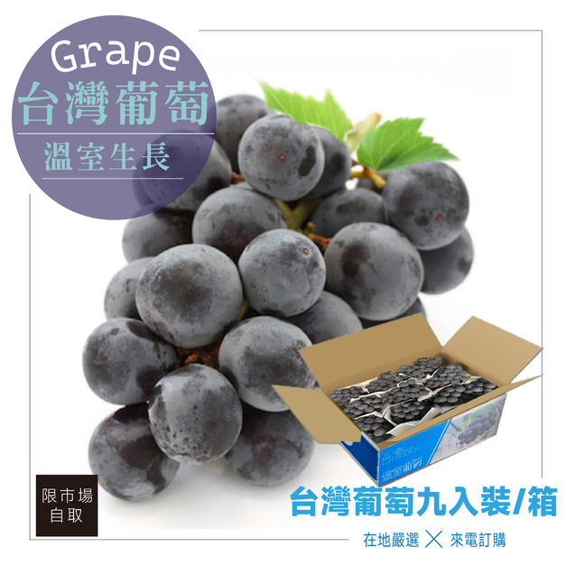 ▉銷售中 ▉ &ndash;限自取免運&ndash;台灣在地【溫室巨峰葡萄】精選禮盒8-10串裝/一箱