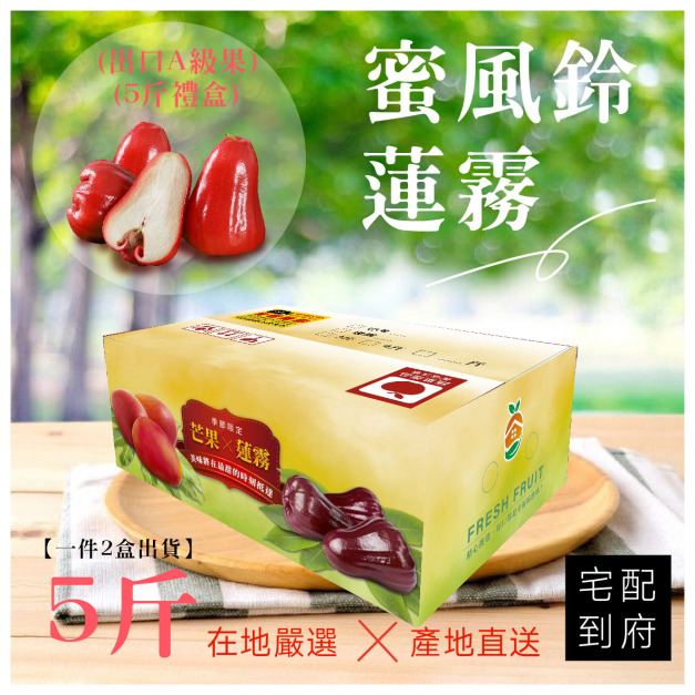 ▉銷售中 ▉ 【蜜風鈴蓮霧  (5斤禮盒)】一件2盒出貨(免運)