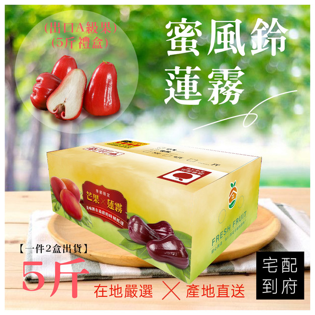 ▉銷售中 ▉ 【蜜風鈴蓮霧  (5斤禮盒)】一件2盒出貨(免運)