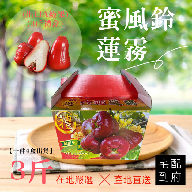 ▉銷售中 ▉ 【蜜風鈴蓮霧  (3斤禮盒)】一件4盒出貨(免運)