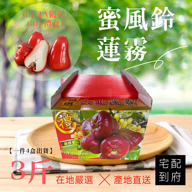 ▉銷售中 ▉ 【蜜風鈴蓮霧  (3斤禮盒)】一件4盒出貨(免運)