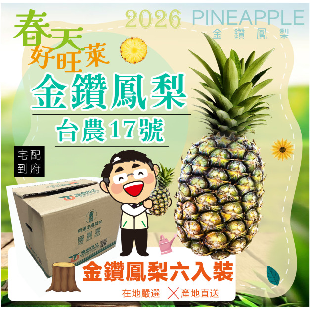▉銷售中 ▉—【免運】—2026【金鑽鳳梨】精選禮盒6入裝 開賣!