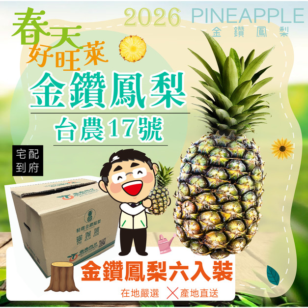 ▉銷售中 ▉—【免運】—2026【金鑽鳳梨】精選禮盒6入裝 開賣!