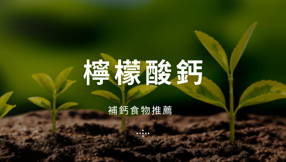 檸檬酸鈣、碳酸鈣、海藻鈣如何挑選?兒童每日鈣攝取量,補鈣食物推薦