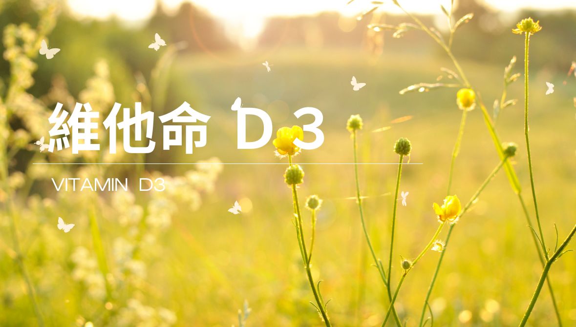 維生素D3的功效、攝取量、推薦與注意事項