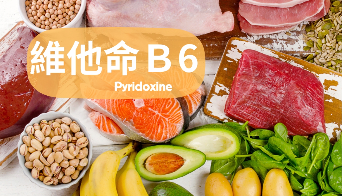 維生素B6的解析,B6的功效與攝取、來源與適合人群