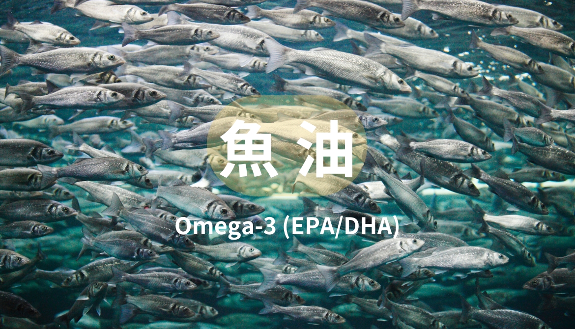 Omega-3魚油的好處，EPA、DHA怎麼吃才最好