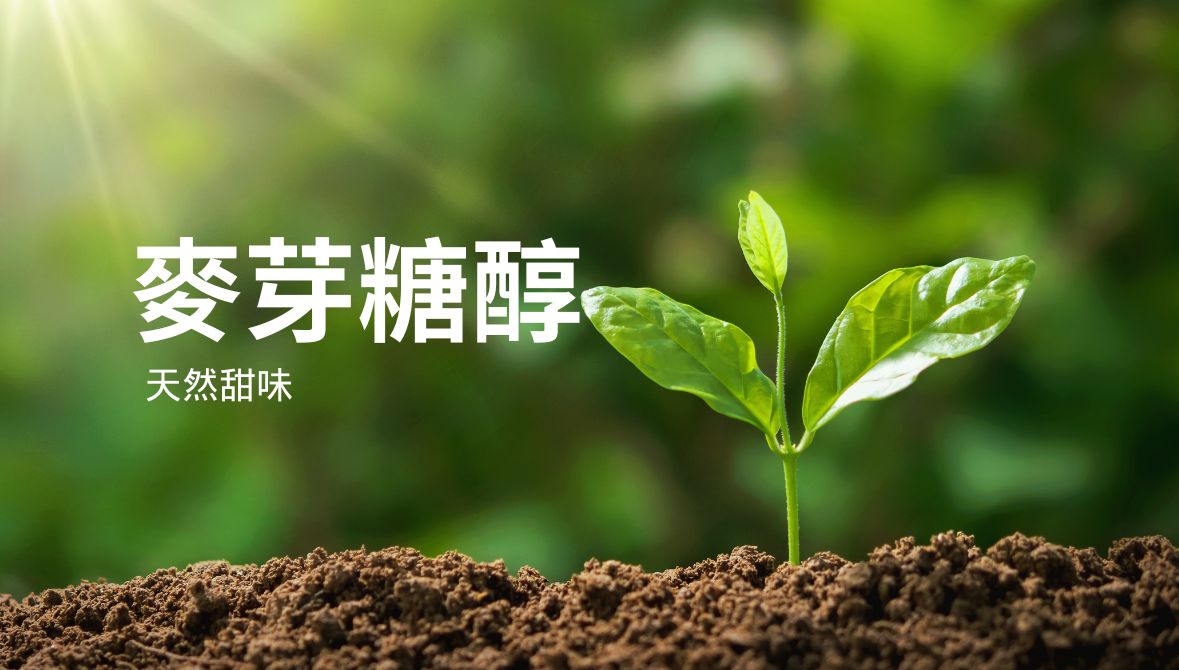 麥芽糖醇是什麼?天然、功效與安全綜合解析
