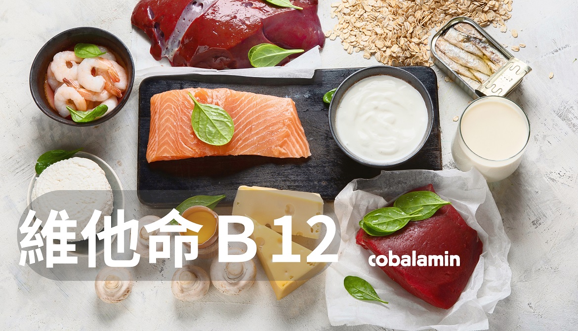 了解維生素B12的食物、攝取量、功效與注意事項