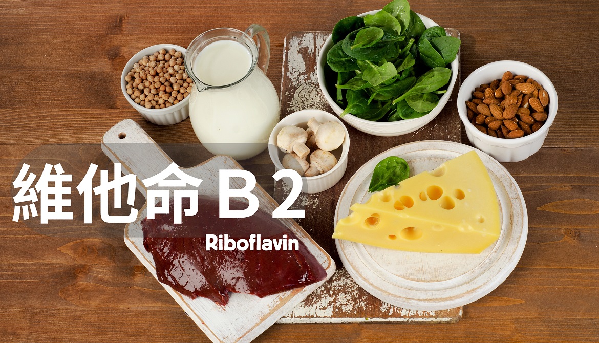 一次看懂維生素B2的功效、攝取量、食物補充與注意事項