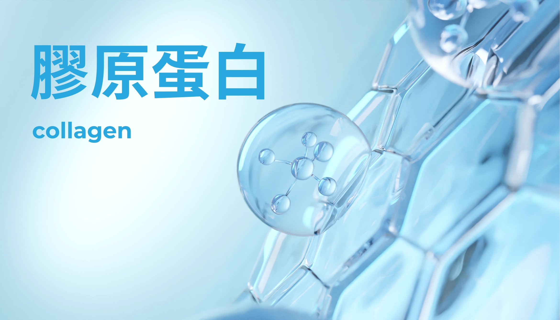 讓你變美麗的膠原蛋白,功效攝取推薦