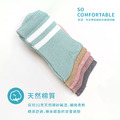 日常條紋棉質中統襪_1