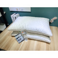【LINE好友限定】賽羽絲絨枕 全棉|天絲|乳膠 IDEE LIVING伊德生活_2