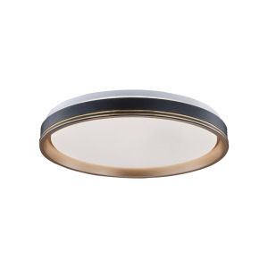 LED 60W 75W黑金吸頂燈