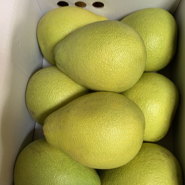 斗六文旦老欉文旦冠軍文旦5斤裝(6~9粒)(10斤裝10~18粒裝)