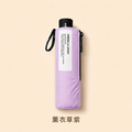 自動傘我最短|巴掌傘AUTO_15