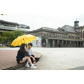 潑水傘超抗風|大傘面直立自動傘_4