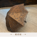 優雅系列|暮光蕾絲刺繡長傘_7