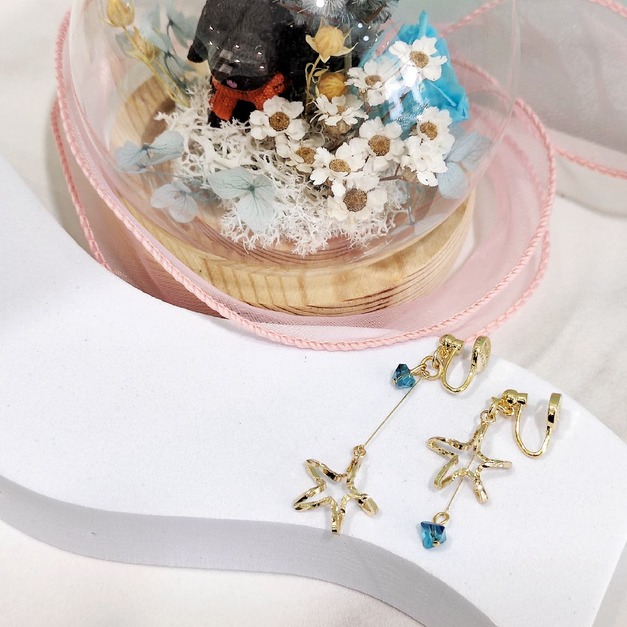 稍縱即逝 • 許願星