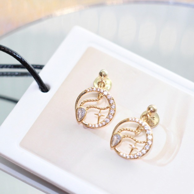 Capricorn | 摩羯座