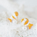 珊瑚小尼莫 | Coral Fish_1
