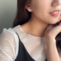 珊瑚小尼莫 | Coral Fish_4