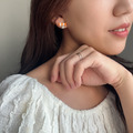 珊瑚小尼莫 | Coral Fish_6