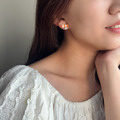 珊瑚小尼莫 | Coral Fish_5