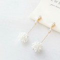 一簇白花 | White Bouquet_2