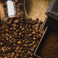 Lilith Coffee 咖啡豆 - 蜜神