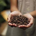 Lilith Coffee 咖啡豆 - 粉紅波旁