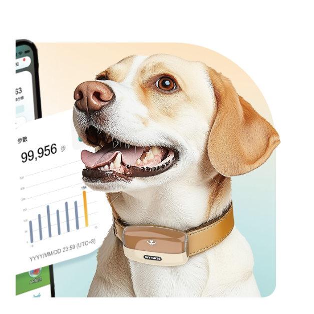 【MymatePet】寵物智能項圈