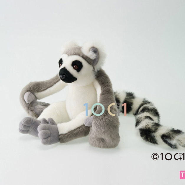 [100+1] SM028 環尾狐猴