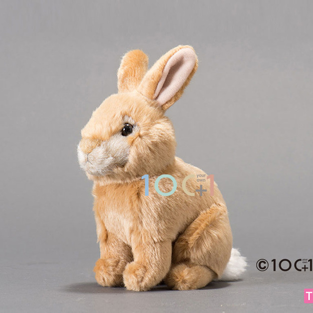 [100+1] SM163 荷蘭侏儒兔