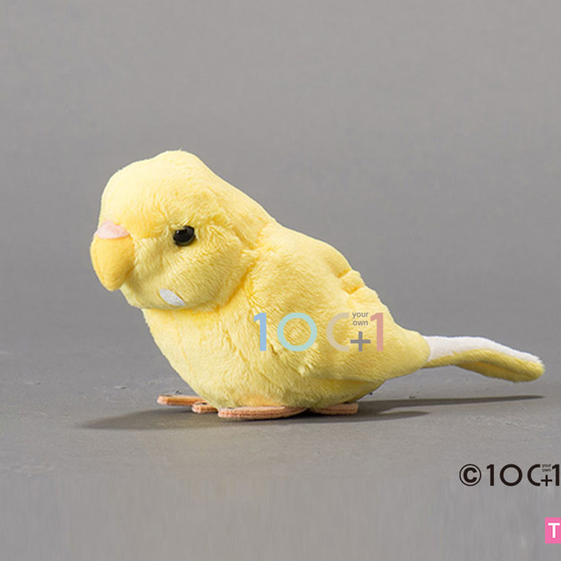 [100+1] SM150 黃化虎皮鸚鵡